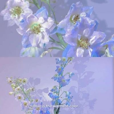 TMT50ETF招商（159909）跌1.84%，成交额169.88万元