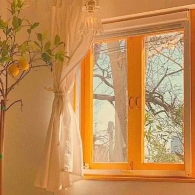 五粮液博鳌答卷：双IP联动，让世界听见中国白酒的声音